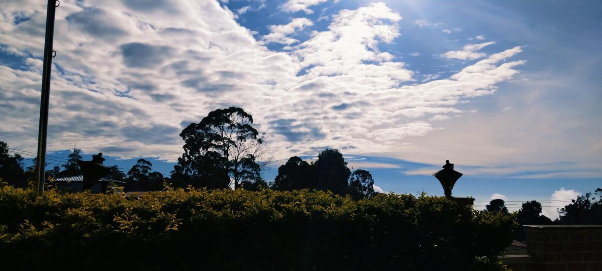 Woods Paradise Kodaikanal Dış mekan fotoğraf